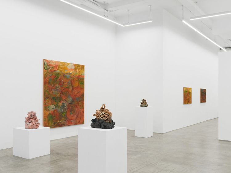 Installation view, Soumya Netrabile: Field Conditions, Anat Ebgi · 2026 (6)