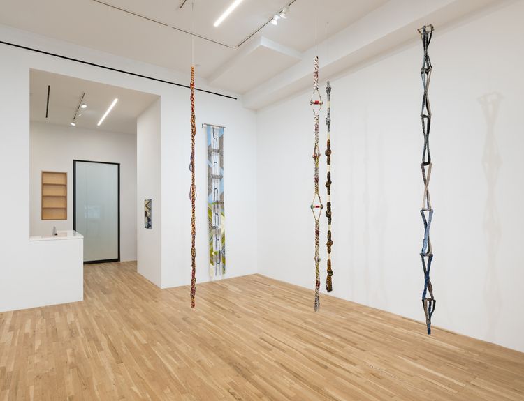 Installation view, If Blue is a Holy Color, Derek Elller