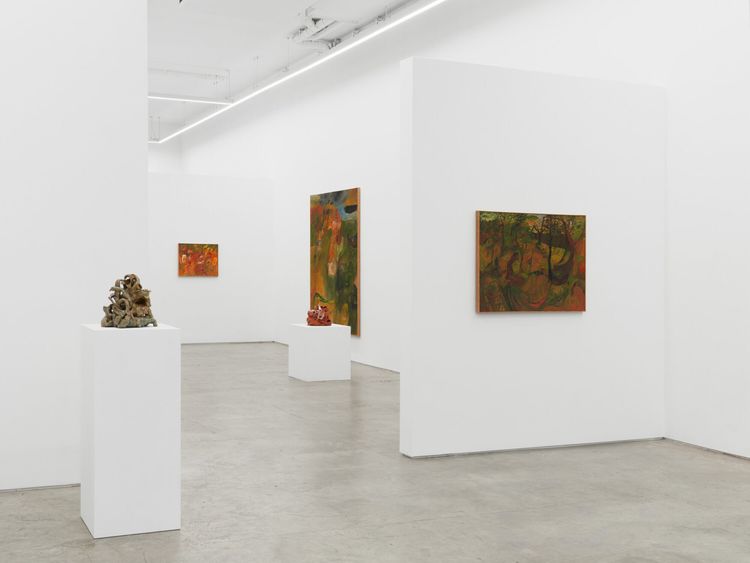 Installation view, Soumya Netrabile: Field Conditions, Anat Ebgi · 2026 (4)