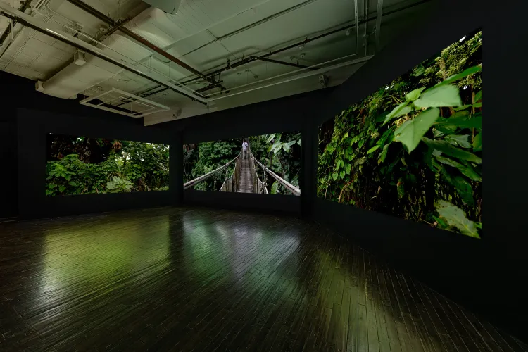 Installation view, Maureen O'Leary: The Linden Trees, Cristin Tierney Gallery