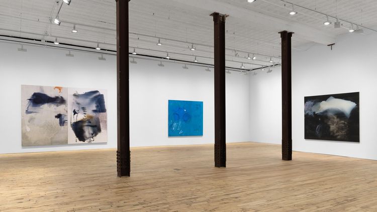 Installation view, This body holds / swamp stuff, David Zwirner, 519 W 19th Street