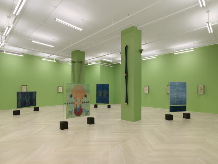 Installation view, Gardens in Orbit, Casey Kaplan