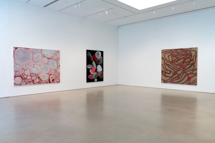 Installation view, Octopus, Petzel Gallery