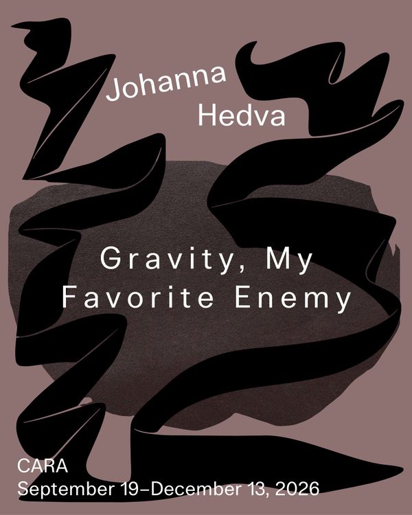 Installation view, Johanna Hedva: Gravity, My / Favorite Enemy, Center for Art, Research and Alliances (CARA)