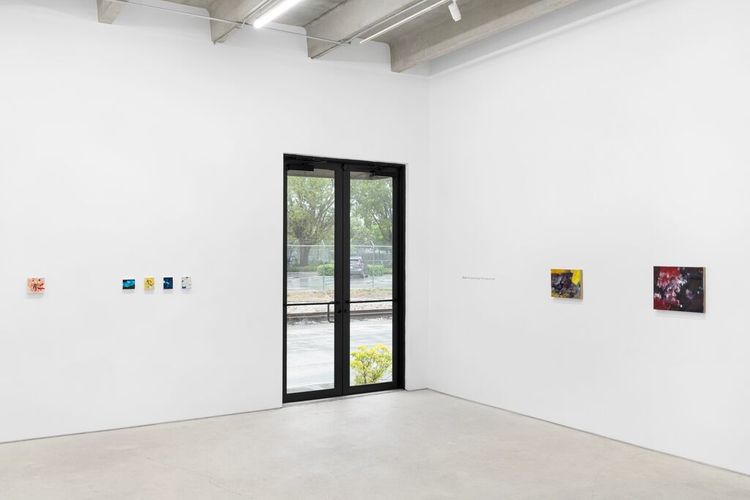 Installation view, Xi Liu: The house of day, the house of night, Andrew Reed Gallery