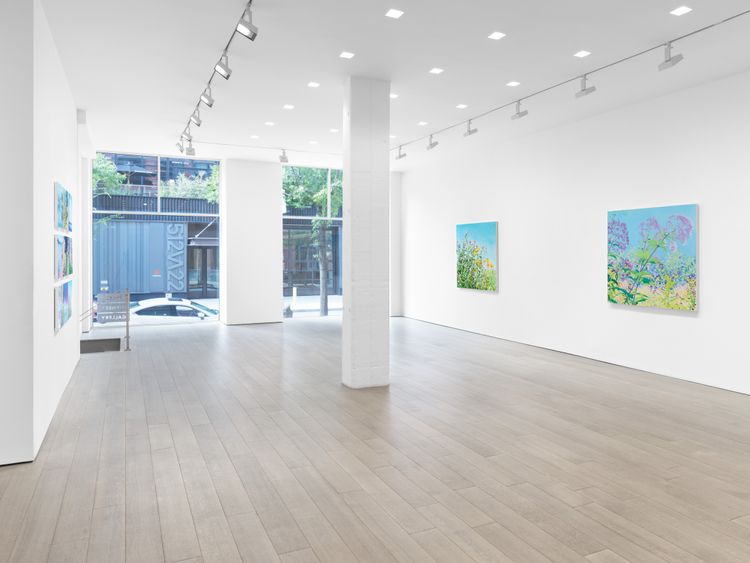 Installation view, The Language of Flowers, Miles McEnery, 511 W 22nd Street · 2026 (7)