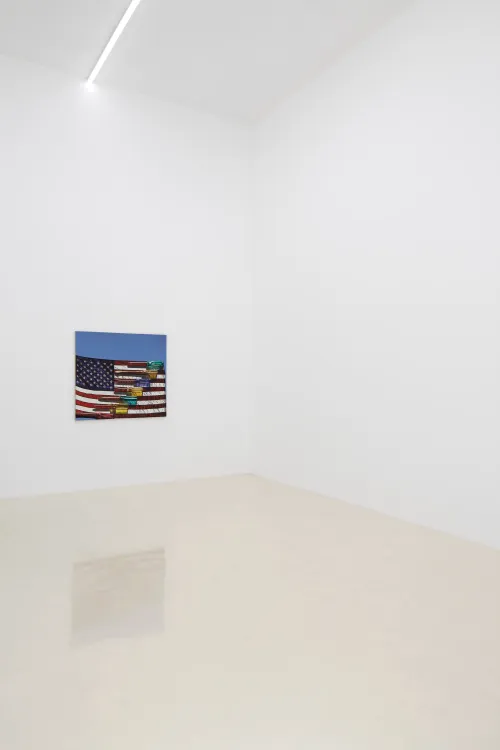 Installation view, Adam Higgins: Lollipop, Chris Sharp Gallery, 2026