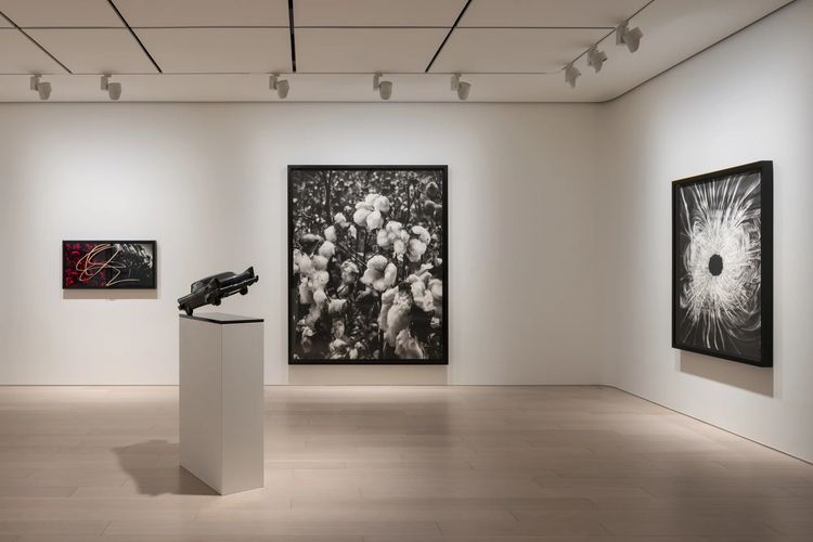 Installation view, Angels of the Maelstrom, Pace Gallery Tokyo · 2026 (5)