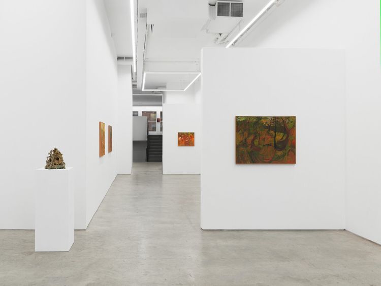 Installation view, Soumya Netrabile: Field Conditions, Anat Ebgi · 2026 (9)