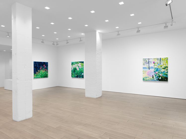 Installation view, The Language of Flowers, Miles McEnery, 511 W 22nd Street · 2026 (10)