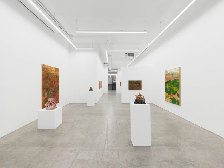 Installation view, Soumya Netrabile: Field Conditions, Anat Ebgi · 2026 (14)