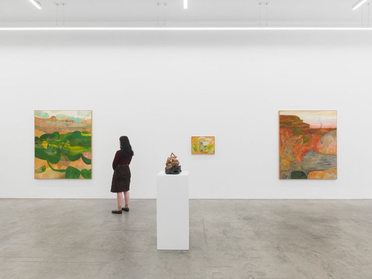 Installation view, Soumya Netrabile: Field Conditions, Anat Ebgi · 2026 (8)