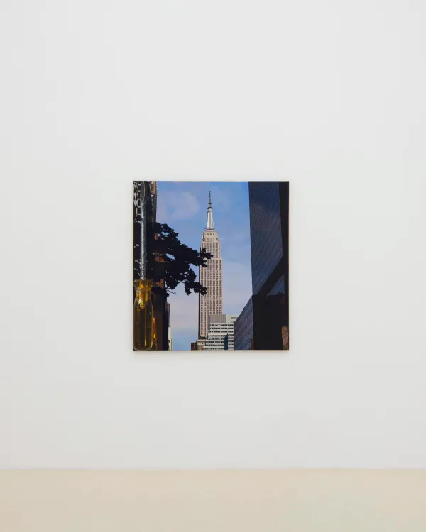 Installation view, Adam Higgins: Lollipop, Chris Sharp Gallery, 2026