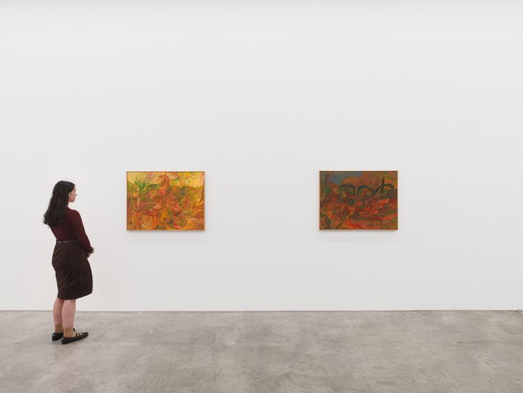 Installation view, Soumya Netrabile: Field Conditions, Anat Ebgi · 2026 (3)