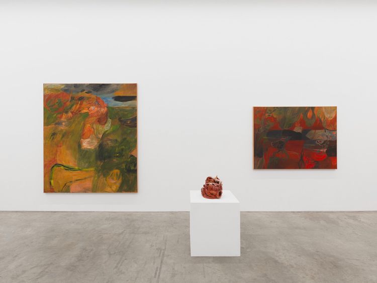 Installation view, Soumya Netrabile: Field Conditions, Anat Ebgi · 2026 (12)