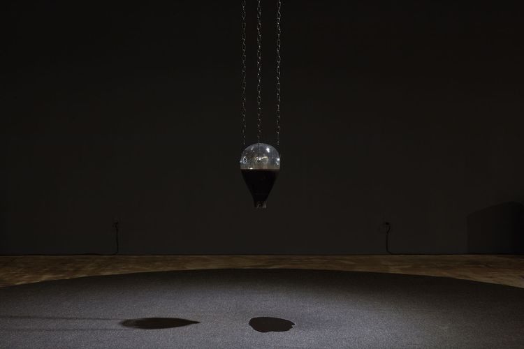 Installation view, Johanna Hedva: Gravity, My / Favorite Enemy, Center for Art, Research and Alliances (CARA) · 2026 (2)