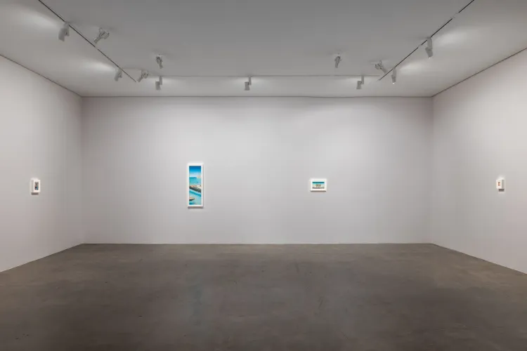 Installation view, Shota Nakamura, Mendes Wood DM · 2026 (2)