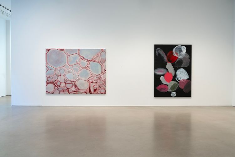 Installation view, Octopus, Petzel Gallery · 2026 (2)