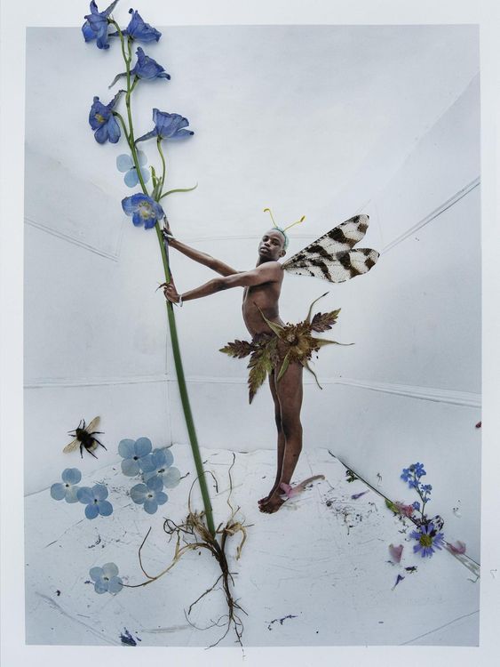 Installation view, Tim Walker’s Fairyland: Love and Legends, National Portrait Gallery