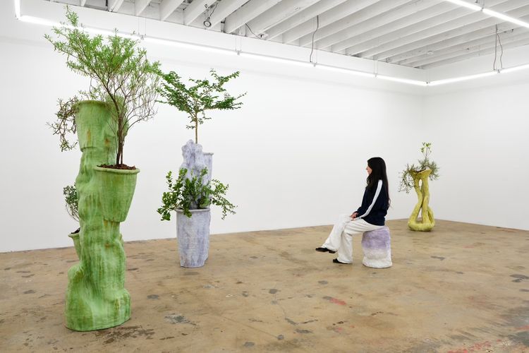 Installation view, Sculptures for Plants and People, Nina Johnson · 2026 (2)