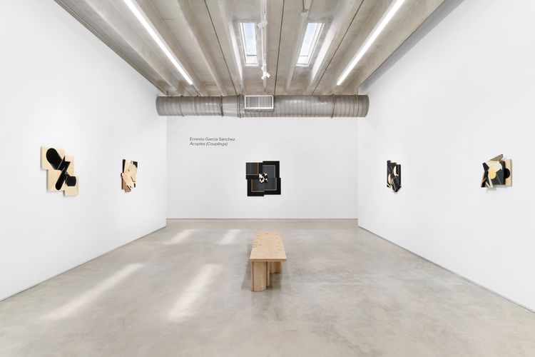 Installation view, Acoples (Couplings), Mindy Solomon Gallery · 2026 (2)