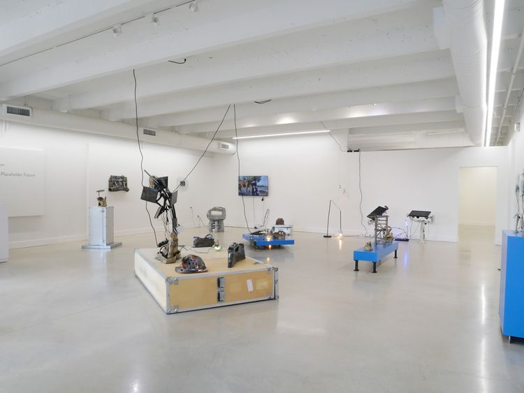 Installation view, Jillian Mayer: Placeholder Future, David Castillo