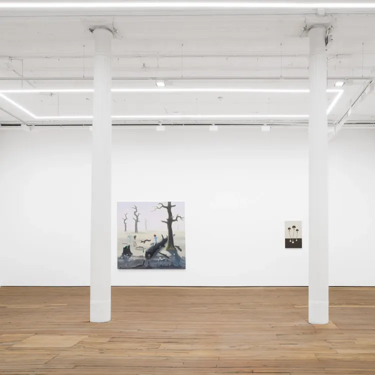 Installation view, Where Rocco Found a Dead Monster OR The Land of the Downcast Eyes, GRIMM Gallery · 2026 (2)