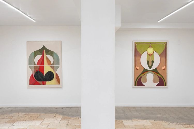 Installation view, Erin Morrison: The Pleated Saeculum, Oolong Gallery