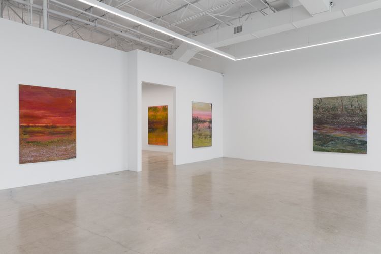 Installation view, Sean Cairns: And when morning comes it comes in the morning and never at night, 12.26 · 2026 (2)
