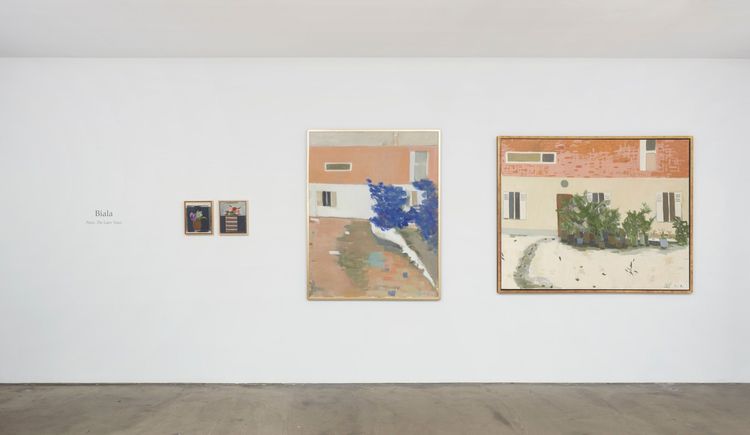 Installation view, A Painting Exhibition, Tibor de Nagy Gallery