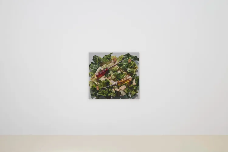 Installation view, Adam Higgins: Lollipop, Chris Sharp Gallery, 2026