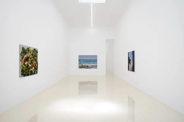 Installation view, Adam Higgins: Lollipop, Chris Sharp Gallery, 2026