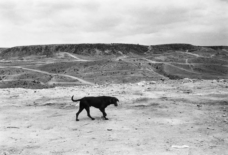 Graciela Iturbide, La Frontera, Tijuana, Baja California, México
