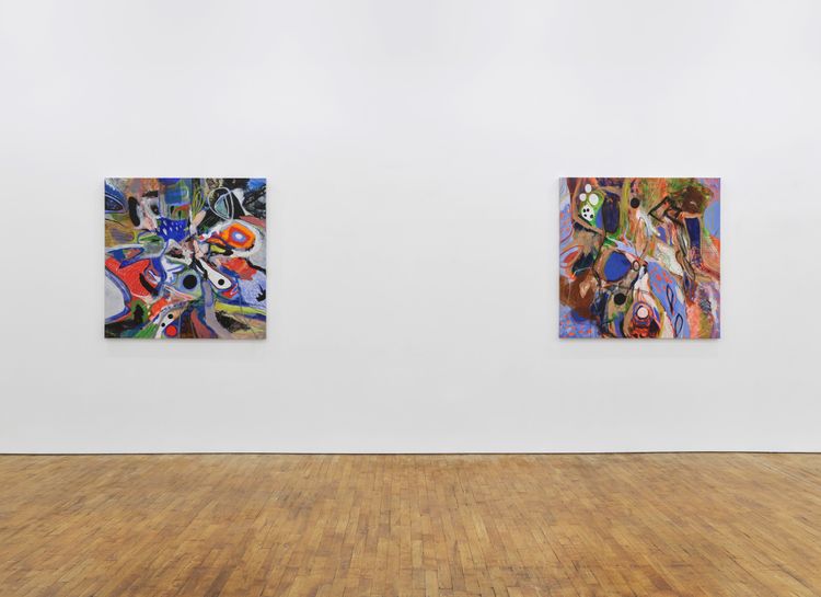Installation view, Nizhonniya Austin: Trying to Be Alaska, Tara Downs · 2026 (3)