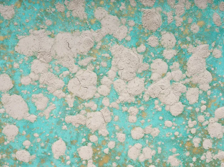 Installation view, Bosco Sodi: Verdigris, Olney Gleason · 2026 (3)