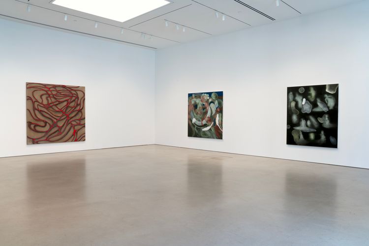 Installation view, Octopus, Petzel Gallery · 2026 (3)