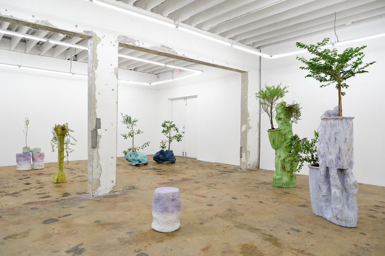 Installation view, Sculptures for Plants and People, Nina Johnson · 2026 (3)