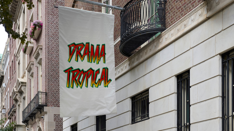 Installation view, Flag Series: Katalina Iturralde, Banner Series 1, 2026, Americas Society · 2026 (3)