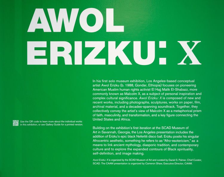 Installation view, X, California African American Museum · 2025 (15)