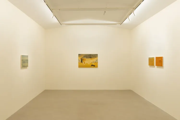 Installation view, Shota Nakamura, Mendes Wood DM · 2026 (3)