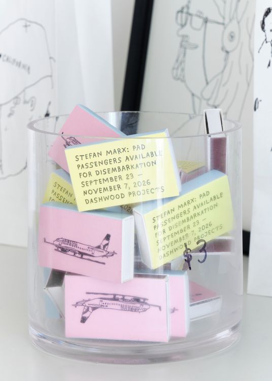 Installation view, PAD Passengers Available for Disembarkation, Dashwood Projects · 2026 (2)