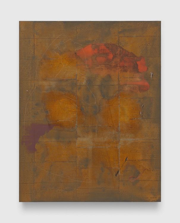 Installation view, This body holds / swamp stuff, David Zwirner, 519 W 19th Street · 2026 (4)
