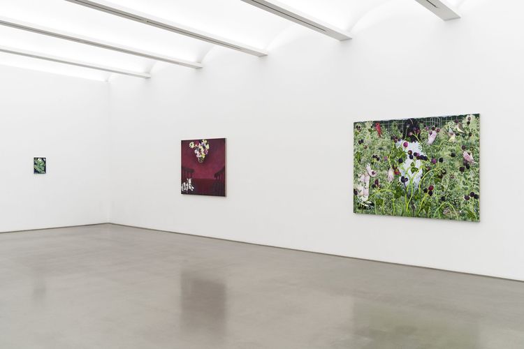 Installation view, Nikki Maloof, Perrotin · 2026 (4)