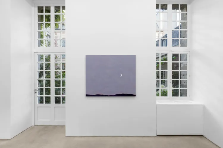Installation view, Shota Nakamura, Mendes Wood DM · 2026 (4)