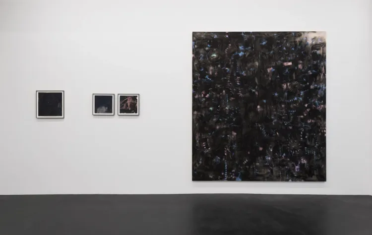Installation view, Jutta Koether, Galerie Buchholz · 2026 (4)