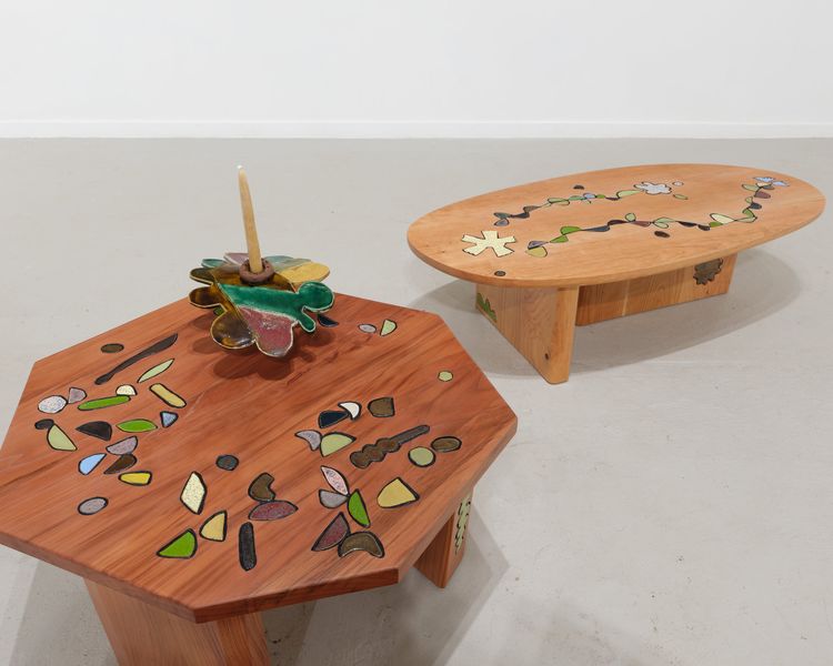 Installation view, Francesca Anfossi, Blunk Space · 2026 (4)