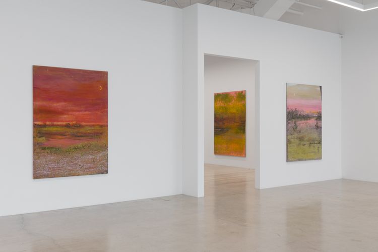 Installation view, Sean Cairns: And when morning comes it comes in the morning and never at night, 12.26 · 2026 (4)