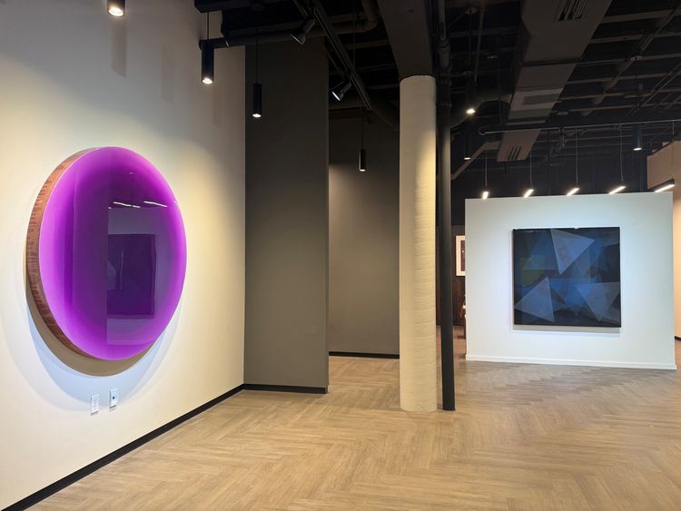 Installation view, DIRK SALZ - DISSOLVING BOUNDARIES, Diana Lowenstein Gallery · 2026 (4)