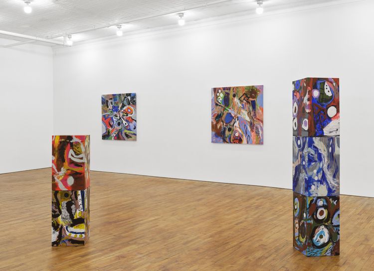 Installation view, Nizhonniya Austin: Trying to Be Alaska, Tara Downs · 2026 (5)