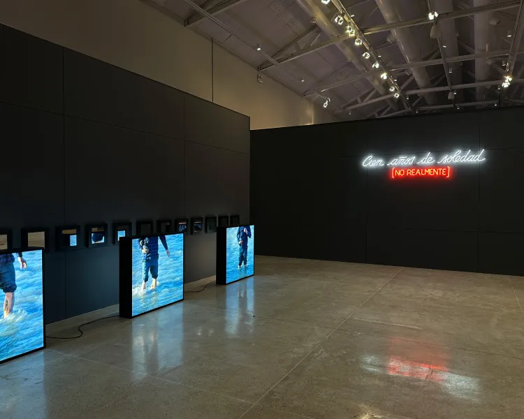 Installation view, Cosmos Calling, Galerie Lelong · 2026 (5)
